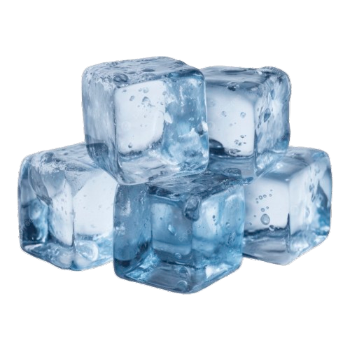 Ice cubes in an insulated bag