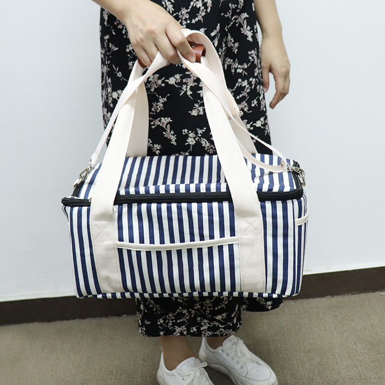 Elegant Large-Capacity Insulated Picnic Carry Tote Bag