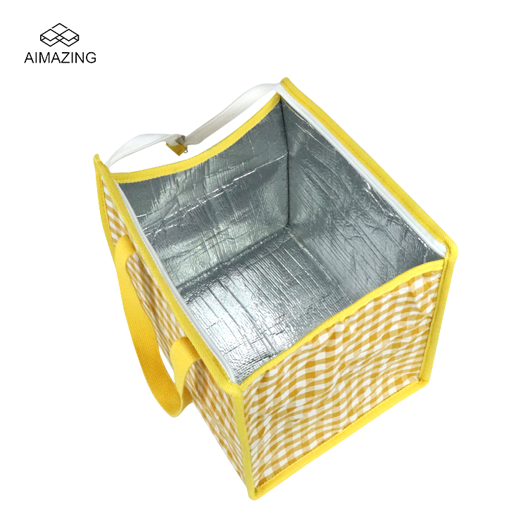 Foldable Thermal Picnic Cooler Tote