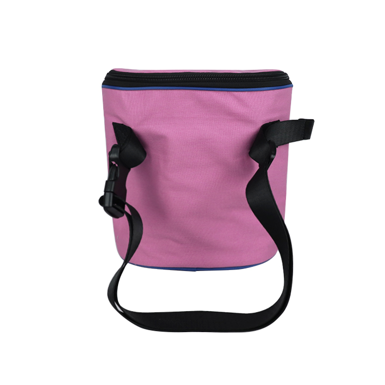 Vertical Compact Insulated Picnic Cooler Tote Bag
